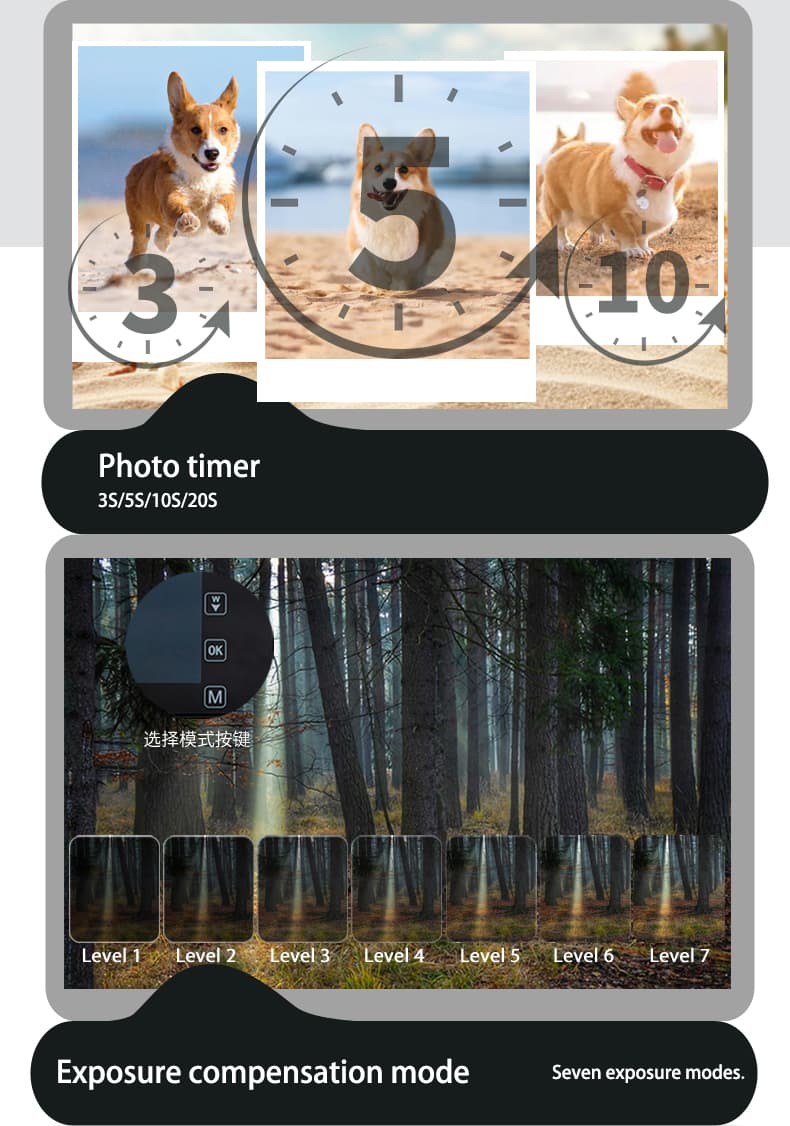 Feature 12
