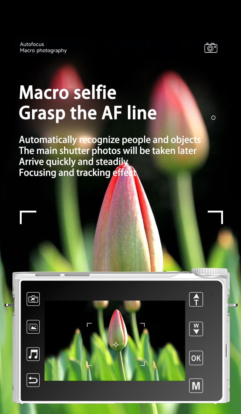 Feature 8